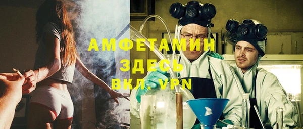 индика Саяногорск