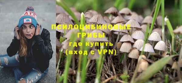 ПСИЛОЦИБИНОВЫЕ ГРИБЫ Армянск