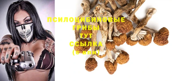 ПСИЛОЦИБИНОВЫЕ ГРИБЫ Армянск